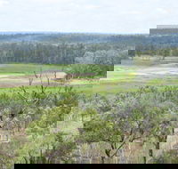 Princess Hills Girringun National Park - SA Accommodation