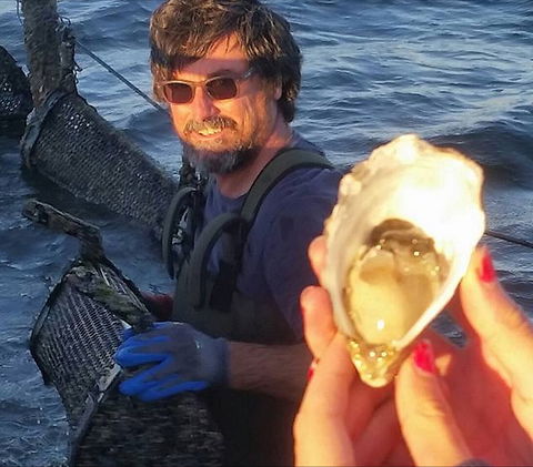 Southern Yorke Oysters - SA Accommodation 0