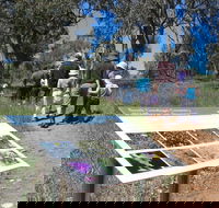 South Gundagai Woodlands Walk - SA Accommodation