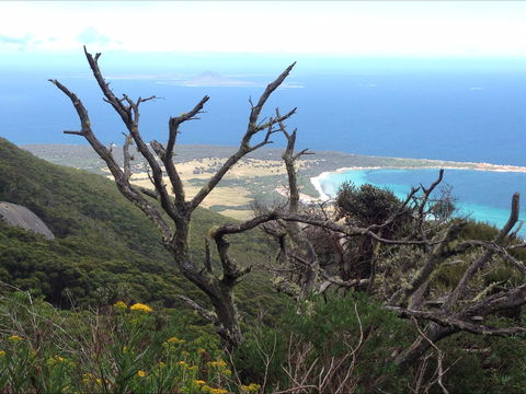 Strzelecki Peaks Great Short Walk - SA Accommodation 0