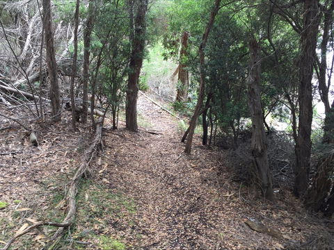 The Lady Barron Foreshore Walk - SA Accommodation 1