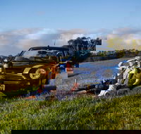 Tourist Drive 28 - Hinterland - SA Accommodation