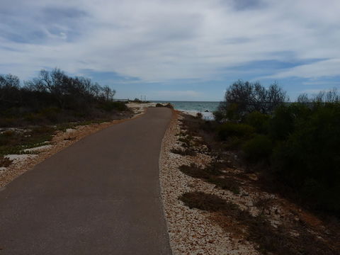 Turquoise Way Trail, Jurien Bay - SA Accommodation 0