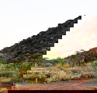 Whyalla Conservation Park - SA Accommodation