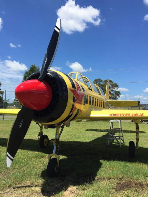 Aerohunter - SA Accommodation 0
