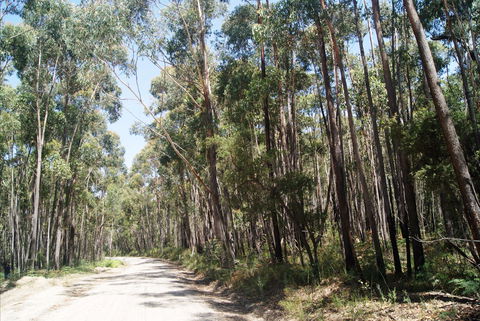 Alfred National Park - SA Accommodation 2