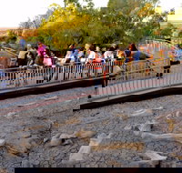 Australian Age of Dinosaurs - SA Accommodation