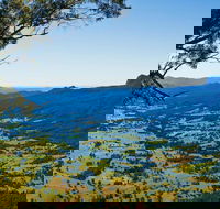 Blackbutt Lookout Picnic Area - SA Accommodation