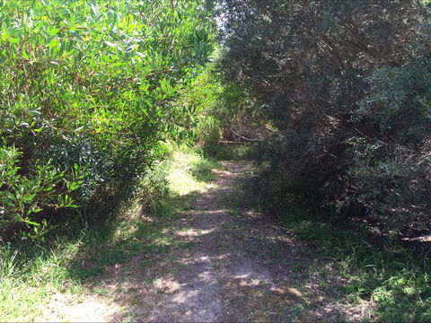 Bluff Track Fitness Trail - SA Accommodation 2