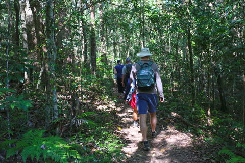 Booloumba Falls Walk, Conondale National Park - SA Accommodation 1