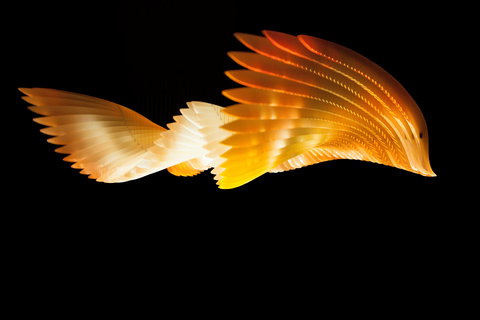 Bunjilaka Aboriginal Cultural Centre - SA Accommodation 1