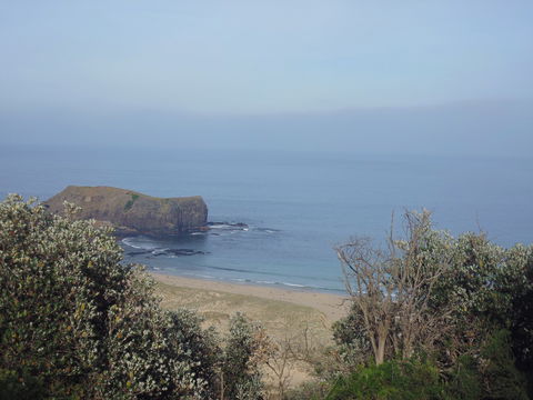 Bushrangers Bay - SA Accommodation 0
