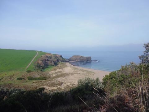 Bushrangers Bay - SA Accommodation 1