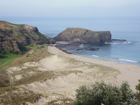 Bushrangers Bay - SA Accommodation 2