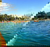 Byron Bay River Nature Kayak Tour - SA Accommodation