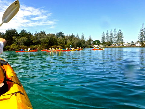Byron Bay River Nature Kayak Tour - SA Accommodation 0