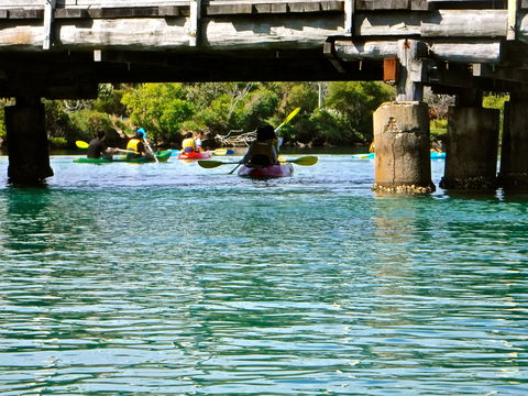 Byron Bay River Nature Kayak Tour - SA Accommodation 1