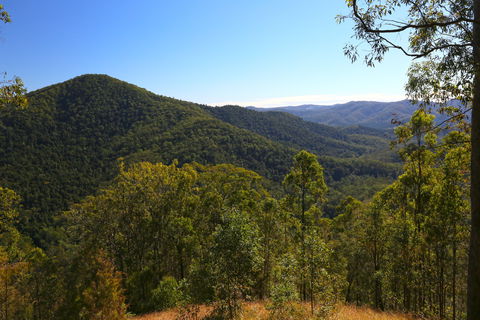 Conondale National Park - SA Accommodation 0