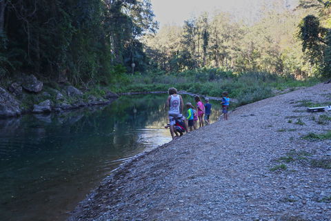 Conondale National Park - SA Accommodation 2