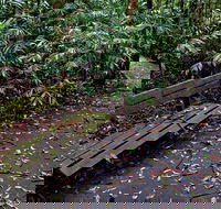 Coombadjha Nature Stroll - SA Accommodation
