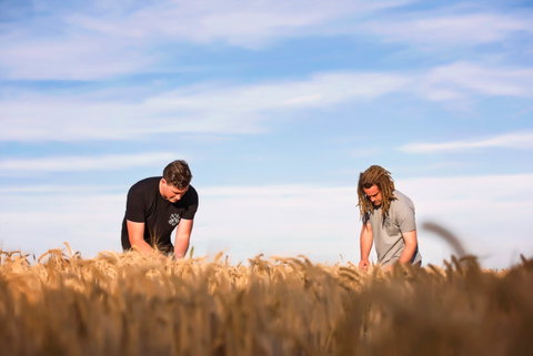 Corowa Distilling Co - SA Accommodation 1