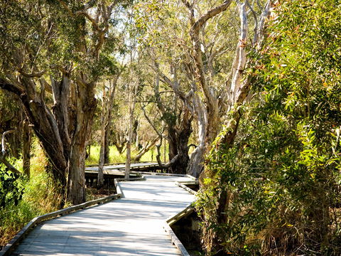 Eagleby Wetlands - SA Accommodation 1