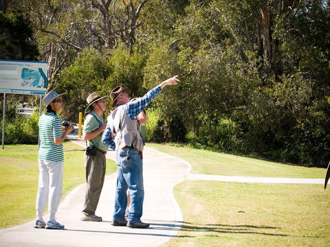 Eagleby Wetlands - SA Accommodation 2
