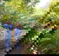 Endeavour Fern Gully Walks - SA Accommodation