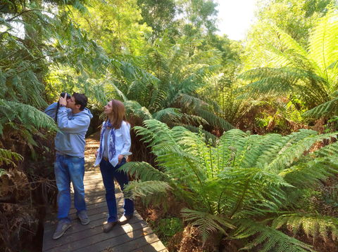 Endeavour Fern Gully Walks - SA Accommodation 0