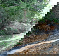 Finch Hatton - SA Accommodation