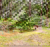 Goodenia Rainforest picnic area - SA Accommodation