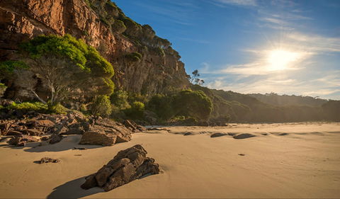 Greenglade Picnic Area - SA Accommodation 0
