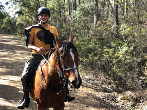 Horse Riding Tasmania - SA Accommodation 2