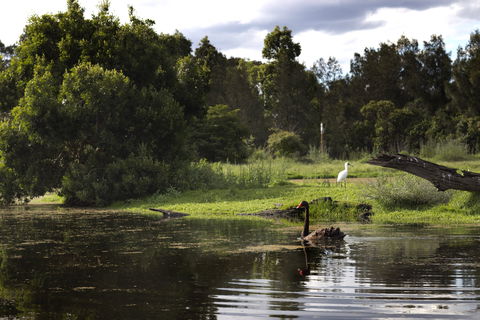 Hunter Wetlands Centre - SA Accommodation 0