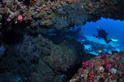 Hutchinson Shoal Dive Site - SA Accommodation 0