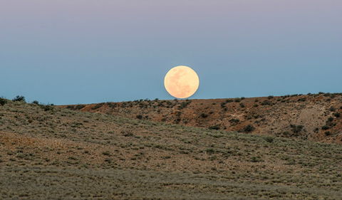 Jump-Up Loop Road Drive - SA Accommodation 0