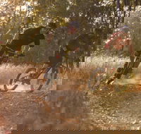 Kholo Gardens Trails - SA Accommodation