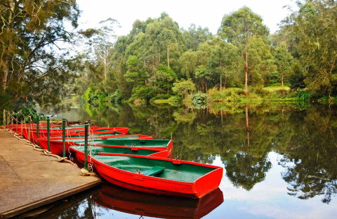 Lane Cove National Park - SA Accommodation 0