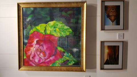 Macleay Valley Community Art Gallery - SA Accommodation 0