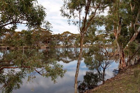 Merredin Railway Dam - SA Accommodation 0