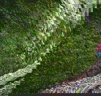 Morisset - SA Accommodation