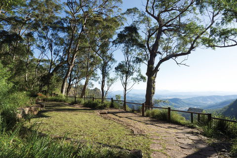 Morans Falls Track, Lamington National Park - SA Accommodation 1