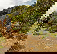 Mountain Biking Trails - SA Accommodation