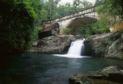 Mount Spec, Paluma Range National Park - SA Accommodation 0