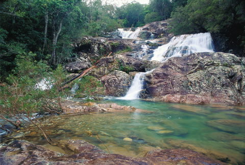 Mount Spec, Paluma Range National Park - SA Accommodation 1