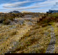 Murramarang Aboriginal Area Walking Track - SA Accommodation