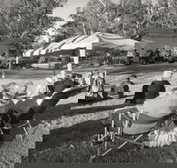 Pioneer Park - SA Accommodation