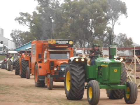 Quirindi Rural Heritage Village - SA Accommodation 1