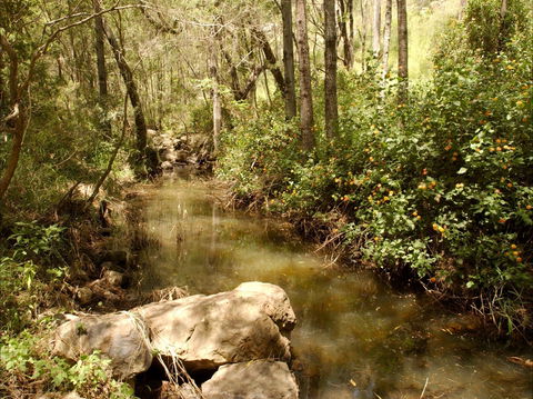 Sandy Creek Track - SA Accommodation 0