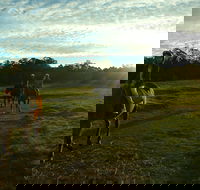 Scenic NSW Horse Riding Centre - SA Accommodation